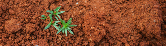 Sustainability initiatives